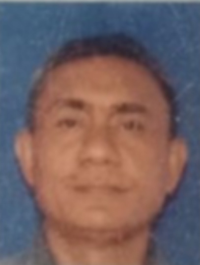 ABDUL HAMID HONLISA